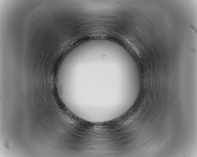 X0000096440641200801241118