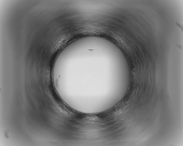 X0000096440642200801241118