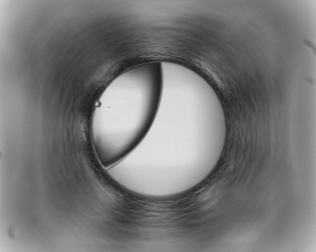 X0000096440643200801241118
