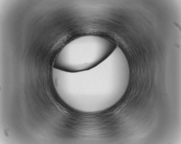 X0000096440644200801241118