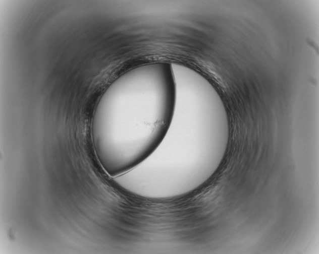 X0000096440645200801241119