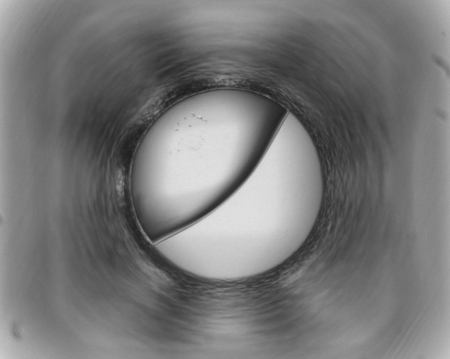 X0000096440646200801241119
