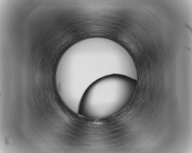 X0000096440647200801241119