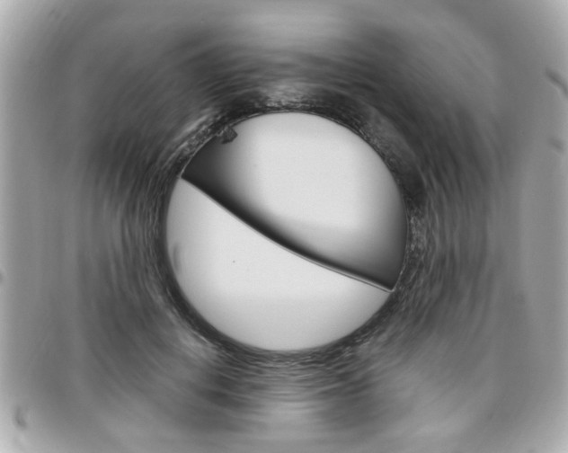 X0000096440648200801241119