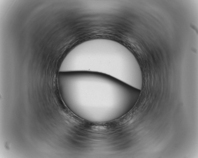 X0000096440649200801241119