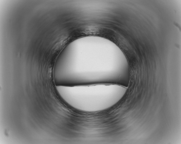 X0000096440652200801241119