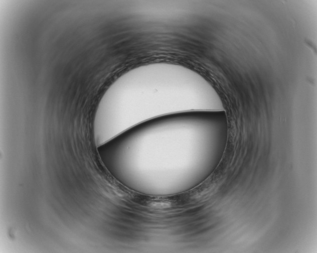 X0000096440653200801241119