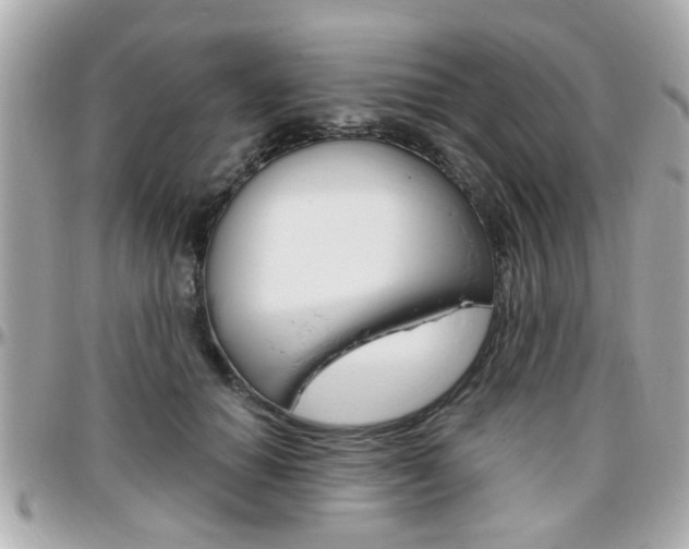 X0000096440654200801241119