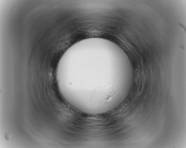 X0000096440655200801241119
