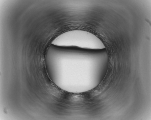 X0000096440657200801241119