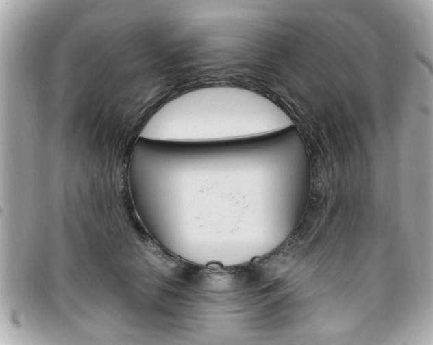 X0000096440658200801241119
