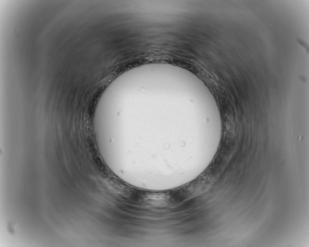 X0000096440659200801241119