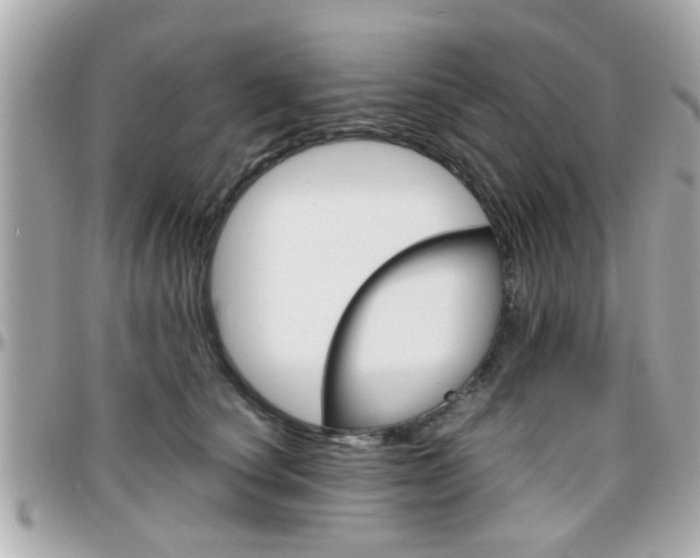 X0000096440660200801241119