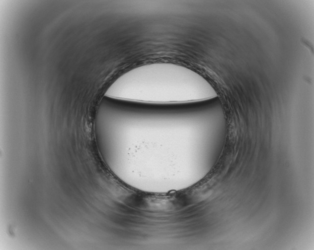 X0000096440661200801241119