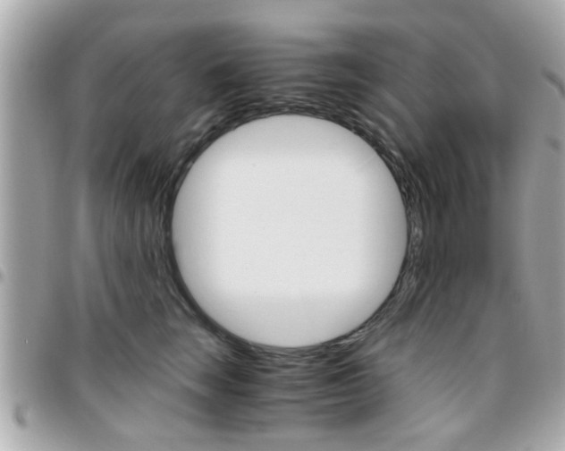 X0000096440663200801241119