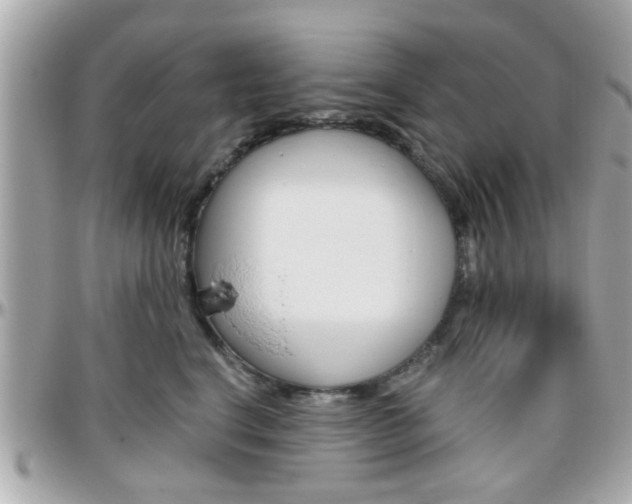 X0000096440664200801241119