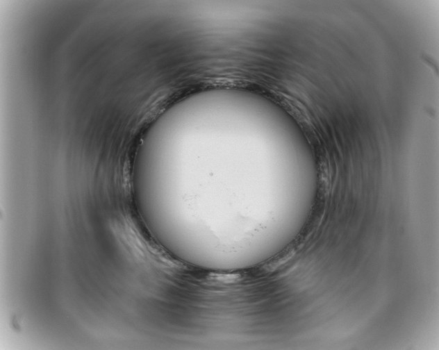X0000096440665200801241119