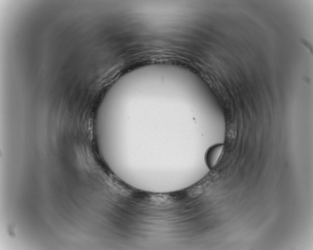 X0000096440666200801241119