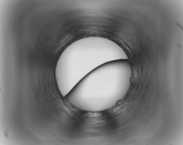 X0000096440667200801241119
