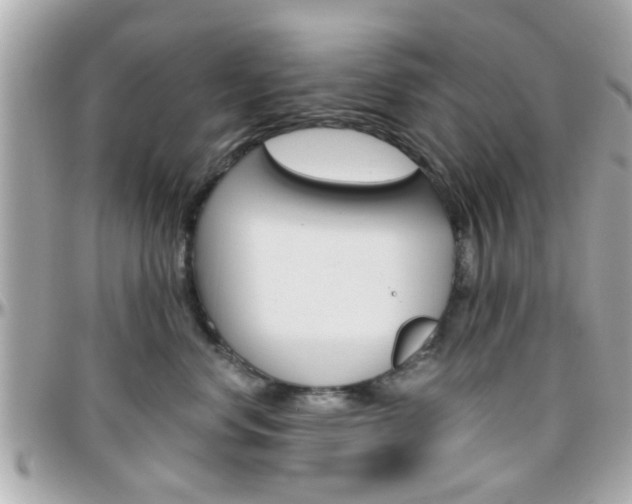 X0000096440668200801241119