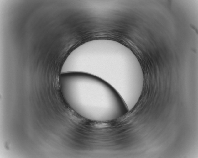 X0000096440669200801241119