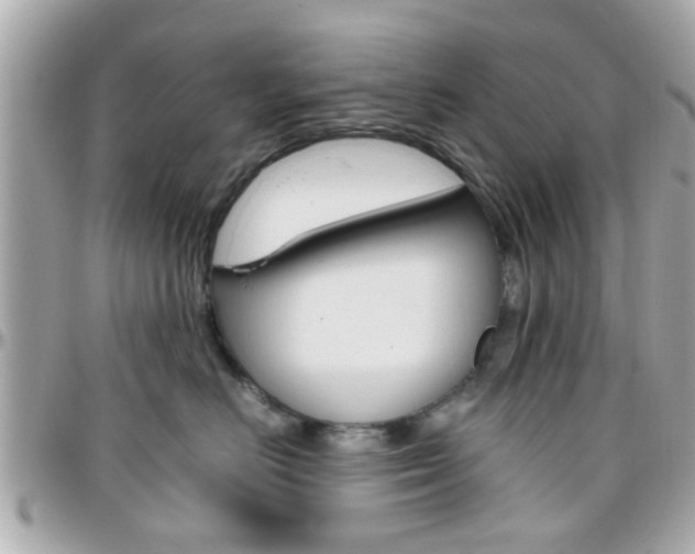 X0000096440670200801241119