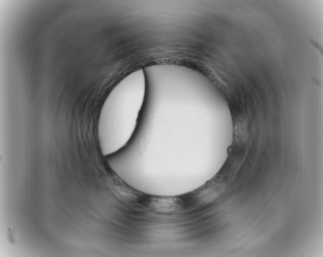 X0000096440671200801241119