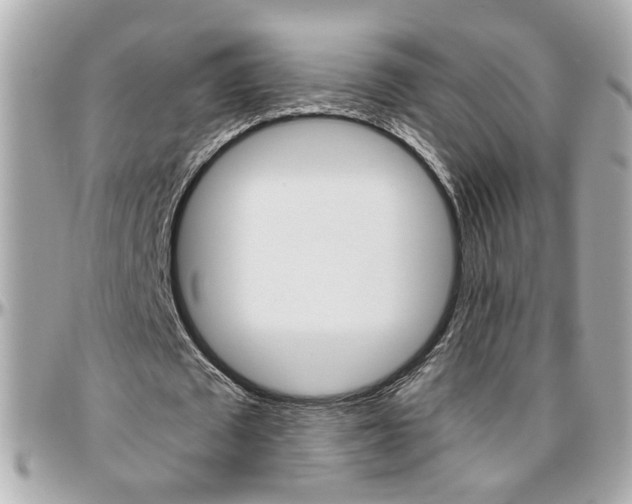 X0000096440673200801241118