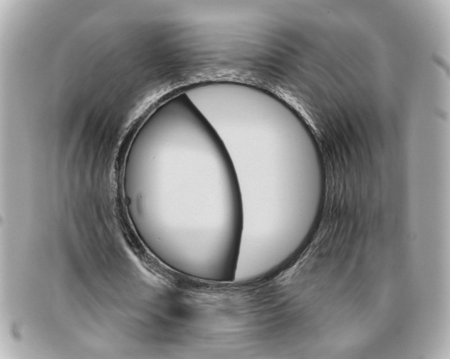 X0000096440674200801241118