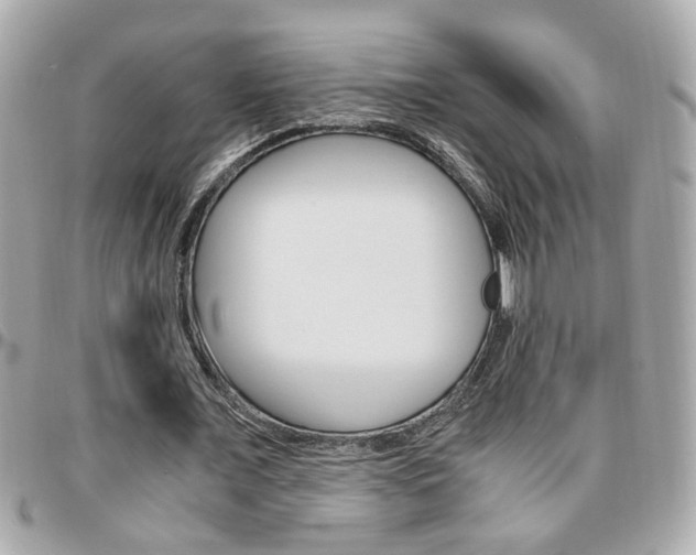 X0000096440675200801241118
