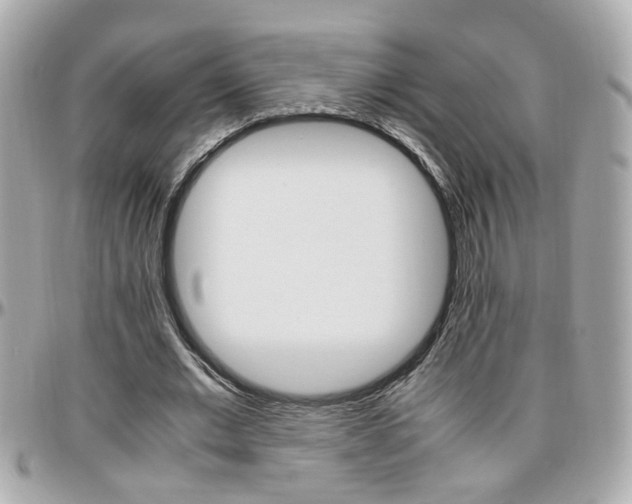 X0000096440677200801241118
