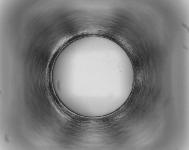 X0000096440678200801241118