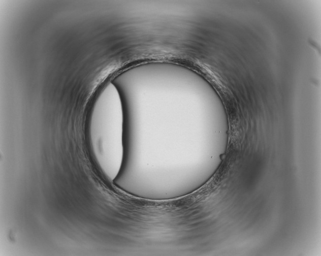 X0000096440679200801241118