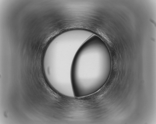X0000096440681200801241118
