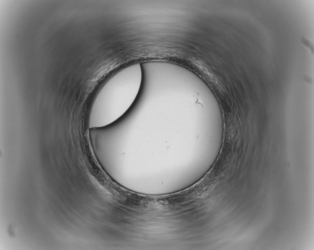 X0000096440683200801241118