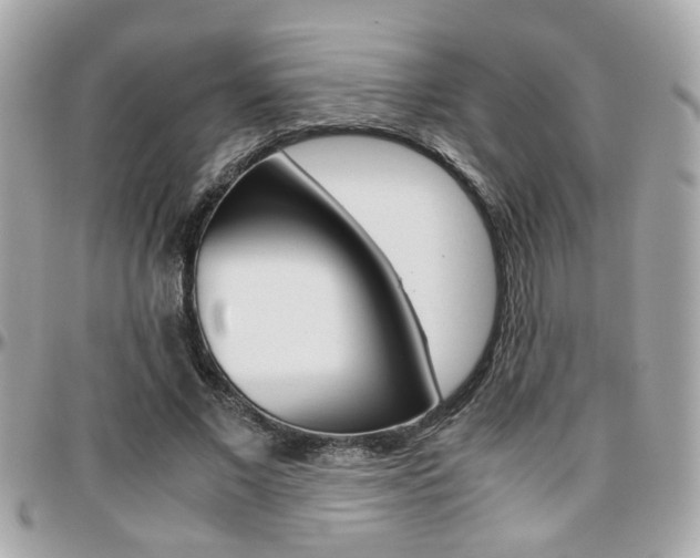 X0000096440685200801241118