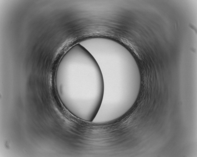 X0000096440686200801241118