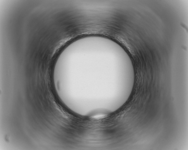 X0000096440688200801241118