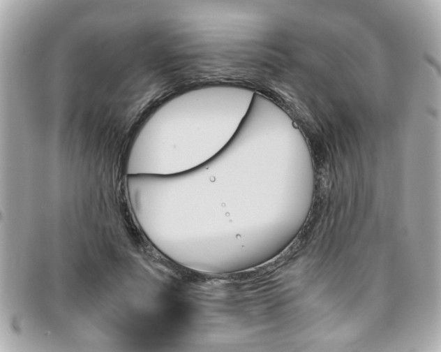 X0000096440691200801241118
