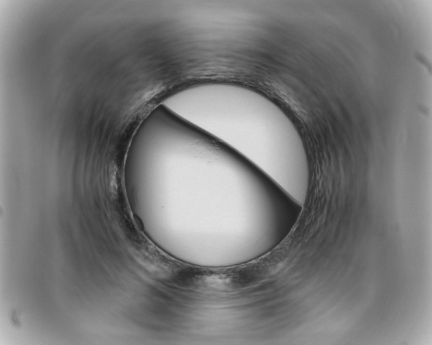 X0000096440692200801241118