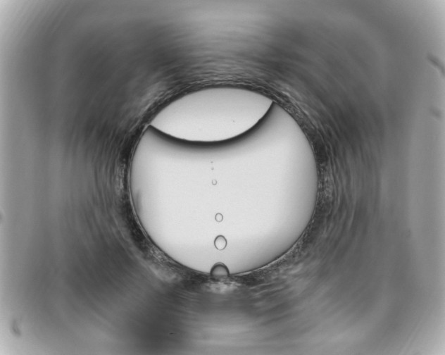 X0000096440695200801241118