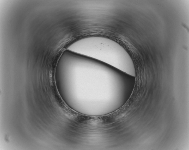 X0000096440696200801241118