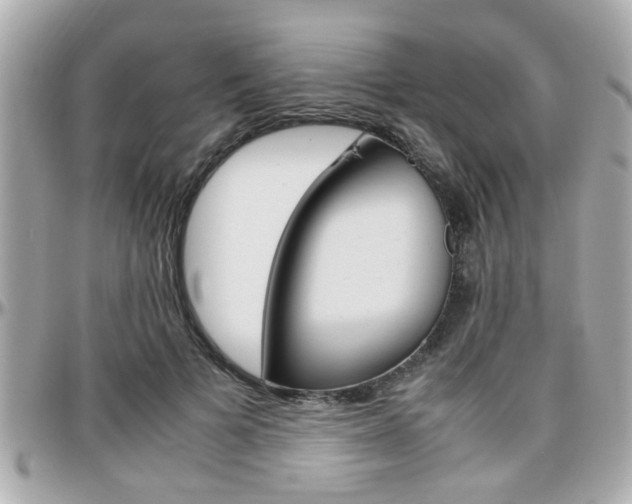 X0000096440697200801241118