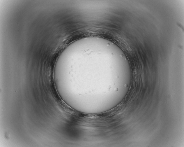 X0000096440698200801241118