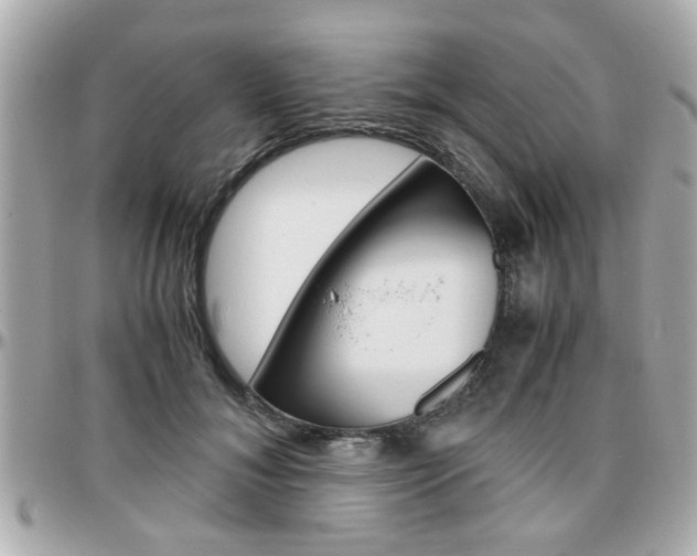 X0000096440700200801241118