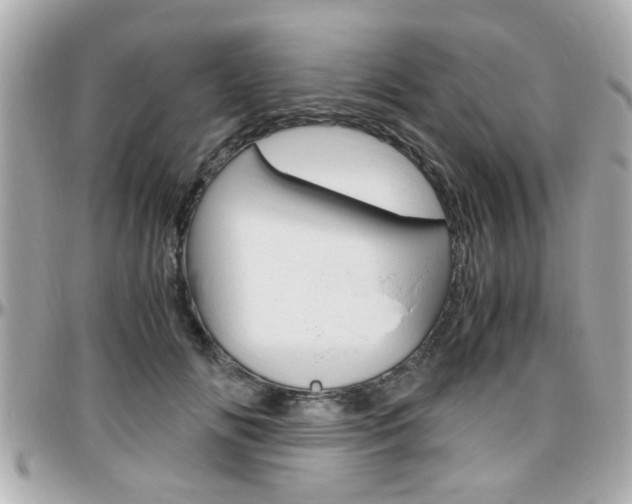 X0000096440702200801241118