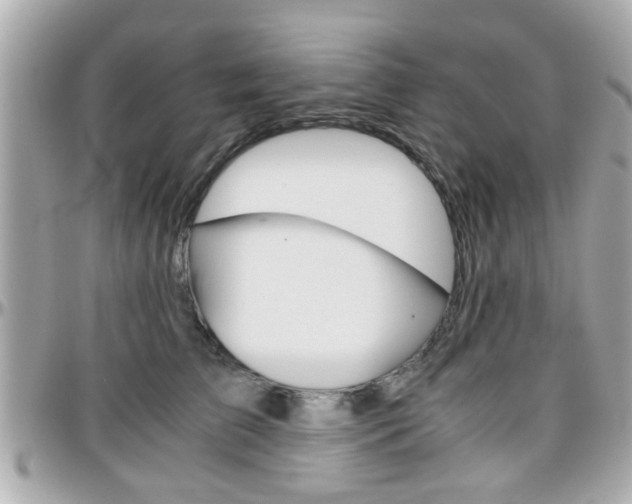 X0000096440709200801241118