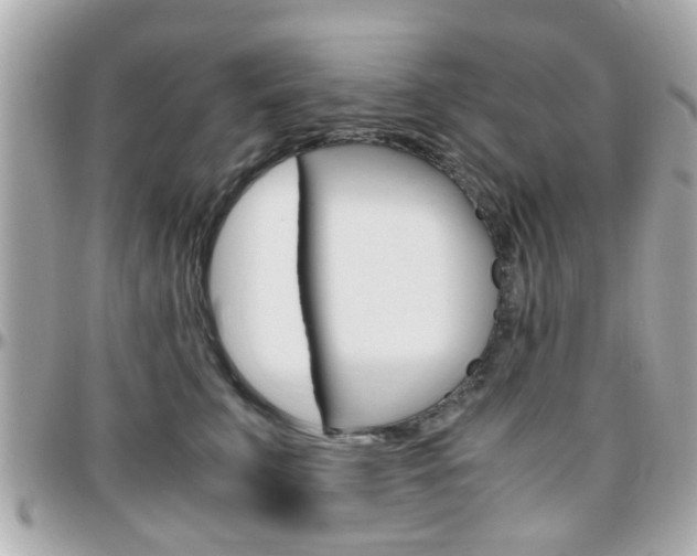 X0000096440711200801241118