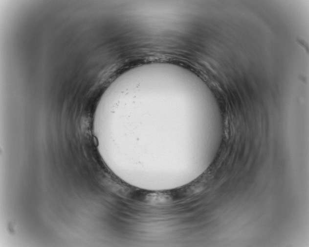 X0000096440714200801241118