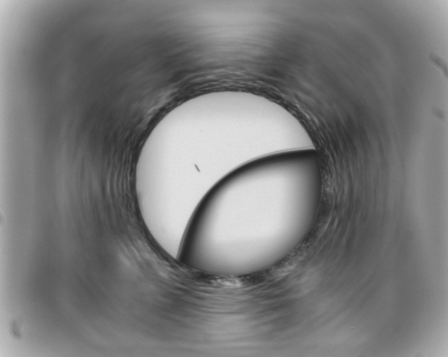 X0000096440715200801241118